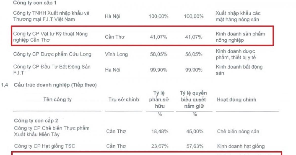 FIT sang tay cổ phần giữa 2 công ty con?