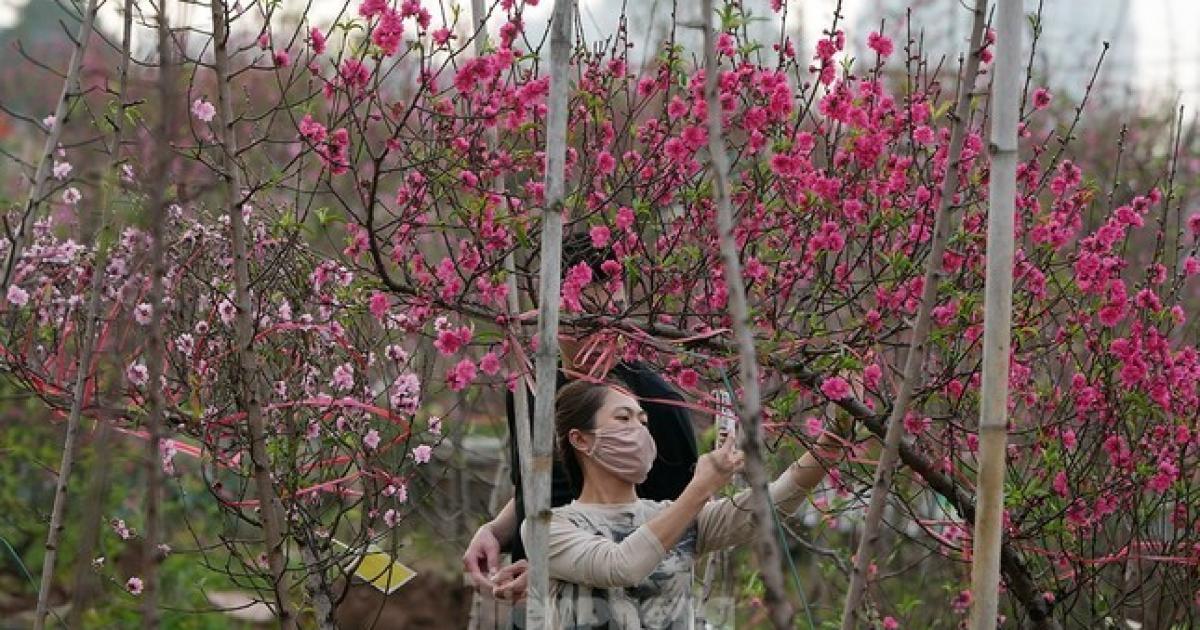 Bộ Lao động báo cáo Thủ tướng lịch nghỉ Tết 9 ngày liên tiếp