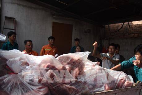 Tiêu huỷ 4 tấn thịt lợn nhiễm tả lợn châu Phi giấu trong kho lạnh