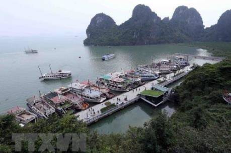 Quảng Ninh siết chặt quản lý, cấp phép cho các tàu du lịch