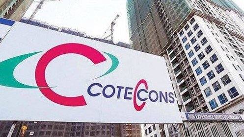 Cổ phiếu Coteccons giảm giá, nhà đầu tư méo mặt