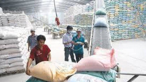 Giá gạo xuất khẩu Việt Nam thấp hơn Thái Lan 35 - 45 USD/tấn