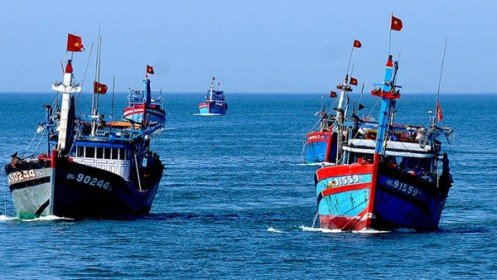 Xây dựng, nâng cấp cơ sở dịch vụ hậu cần nghề cá tại 4 tỉnh miền Trung