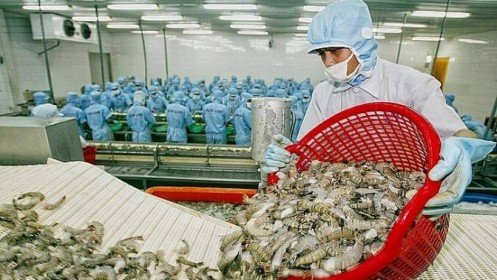 17 lô hàng nông, hải sản của Việt Nam bị từ chối nhập khẩu vào EU