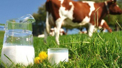 Thách thức gì cho cuộc chơi mới của các doanh nghiệp sữa Việt như TH True Milk ở thị trường 1,4 tỷ dân?