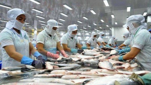Mỹ bất ngờ tăng mạnh thuế bán phá giá cá tra Việt Nam