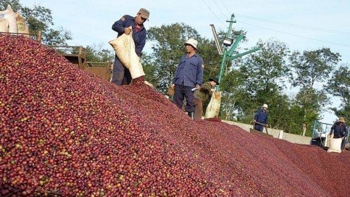 Xuất khẩu cà phê 4 tháng đầu năm giảm nhẹ
