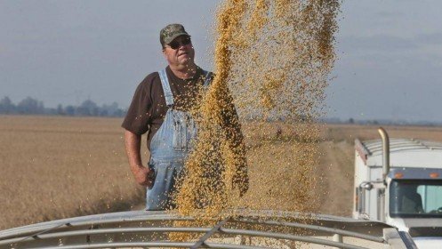 Mỹ: Ngành công - nông nghiệp phản ứng trước tuyên bố tăng thuế hàng Trung Quốc của Tổng thống