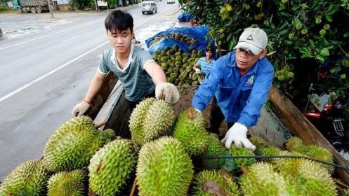 Cục Bảo vệ thực vật thông tin về việc Nhật Bản tăng tần suất kiểm tra nông sản Việt
