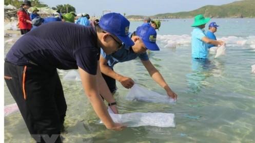 Thả gần 600.000 con giống tái tạo nguồn lợi thủy sản Vịnh Nha Trang