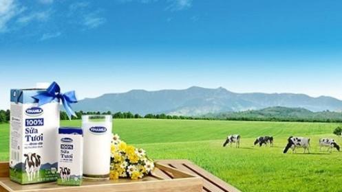 Vinamilk - doanh nghiệp tiên phong trong ngành công nghiệp sữa