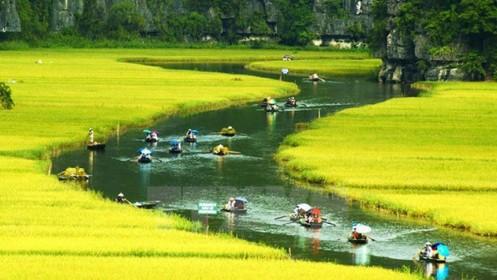 Nghịch lý tăng trưởng du lịch Việt Nam