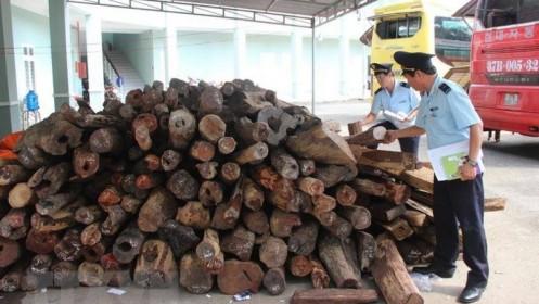 Bắt giữ trên 12m3 gỗ quý giá trị cả chục tỉ đồng