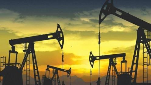 Giá dầu châu Á giảm gần 1% do dự trữ dầu Mỹ tăng