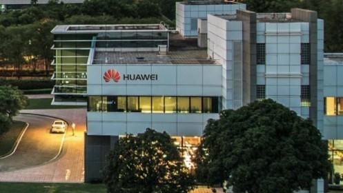Chuyên gia: Huawei đủ sức chống lại cấm vận của Mỹ trong 6 tháng tới