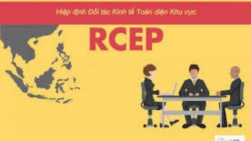 Lo doanh nghiệp đuối sức trong RCEP