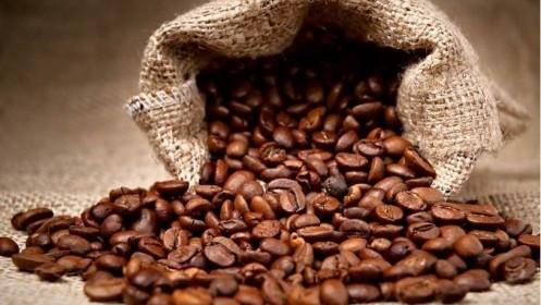 Giá cà phê hôm nay 4/6: Nhích nhẹ thêm 100 đồng/kg