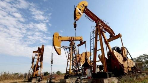 Giá dầu thế giới giảm do dự trữ dầu thô của Mỹ tăng mạnh
