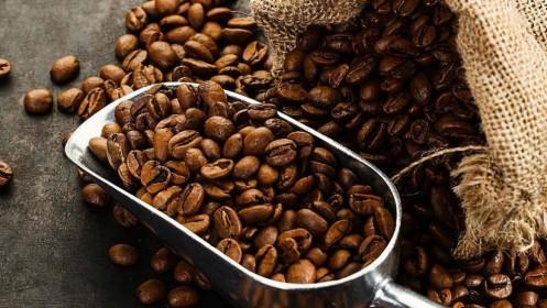 Giá cà phê hôm nay 6/6: Giảm sốc 1.400 đồng/kg sau chuỗi ngày tăng