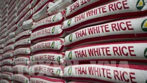 Gạo Ấn Độ và Thái Lan tăng giá do đồng nội tệ mạnh lên