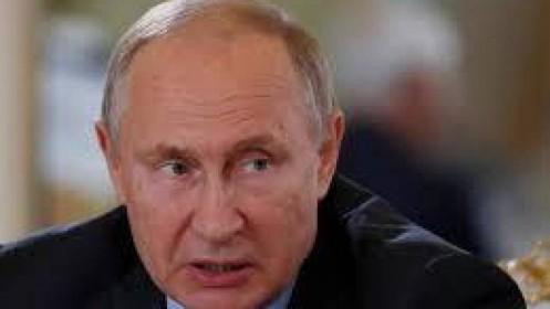 Ông Putin nhắn tổng thống Ukraine: Diễn xuất cần tài năng, nhưng lãnh đạo cần nhiều phẩm chất