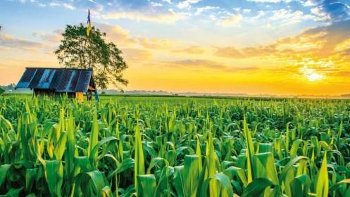 Doanh nghiệp khởi nghiệp nông nghiệp: Phải xác định sẽ đi đường dài