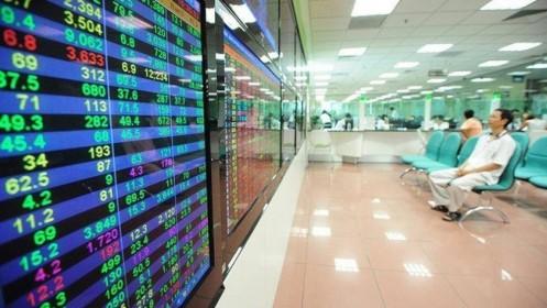 TA focus (phiên 12/6): Chưa có gì xấu để đáng lo ngại