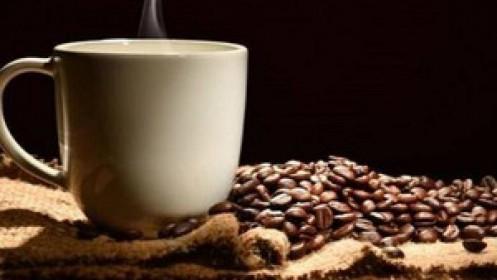 Tập đoàn Nhật Bản đầu tư 115 triệu USD xây nhà máy cà phê hòa tan tại Việt Nam