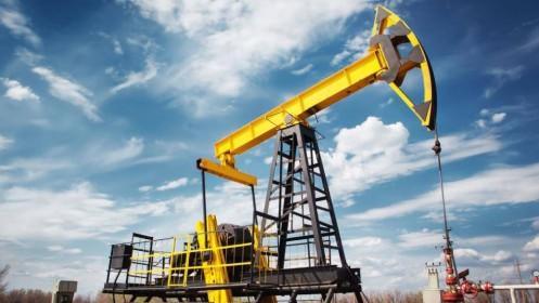 Giá dầu giảm do thị trường lo ngại về triển vọng nhu cầu dầu thô