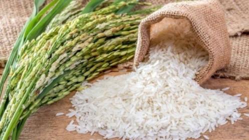 Cập nhật gạo Việt Nam và giá gạo thế giới tuần này