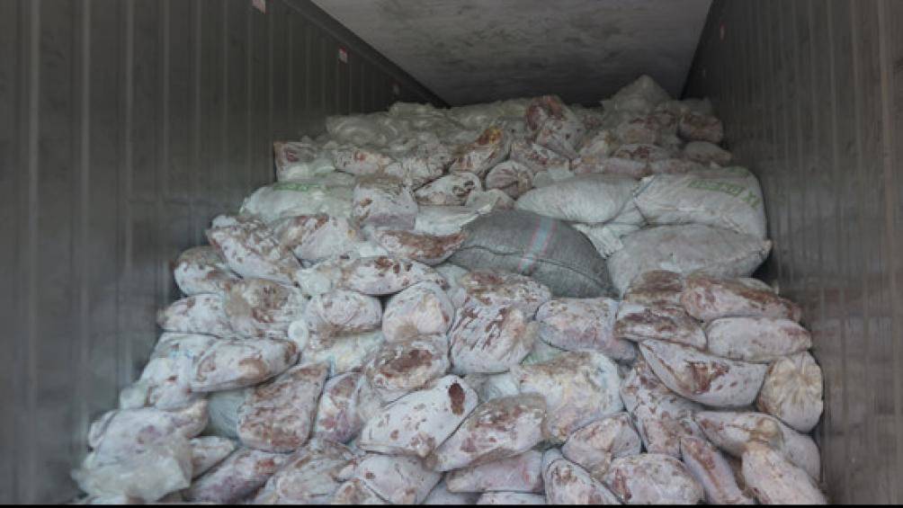 Singapore tịch thu 12,9 tấn vảy tê tê chuyển từ Nigeria sang Việt Nam
