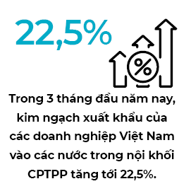 Mexico và Canada: Điểm đến của sản phẩm Việt Nam trong CPTPP