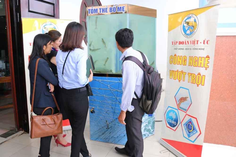Tập đoàn Việt Úc hiến kế xây dựng thương hiệu tôm Việt Nam