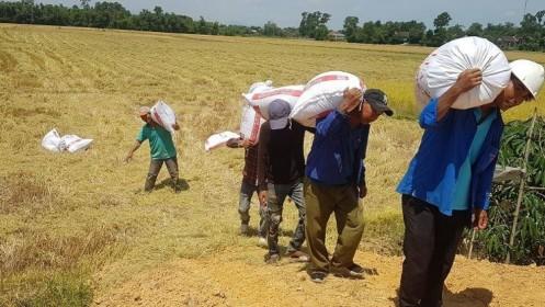 8,6 triệu hộ nông dân Việt lạc lối trên thị trường tỷ dân
