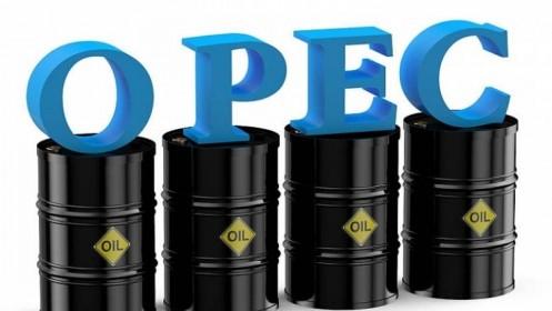 OPEC dự báo nhu cầu dầu thô sẽ giảm trong năm 2020