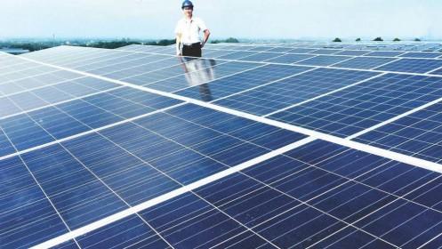 Thủ tướng yêu cầu kiểm tra phản ánh về phát triển điện mặt trời