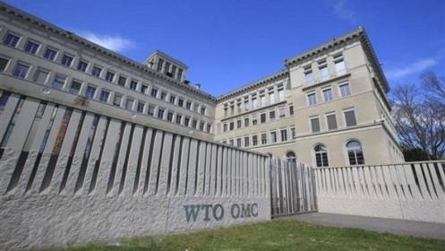 WTO bắt đầu cuộc họp về xung đột thương mại Nhật-Hàn