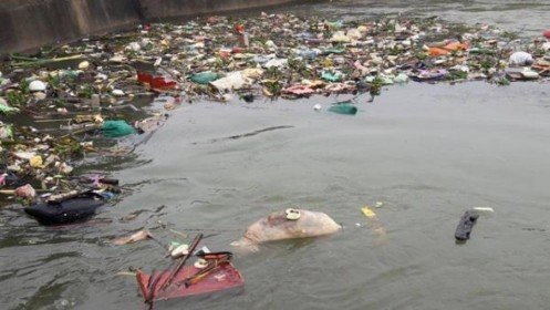 Nghệ An: Bí thư Tỉnh ủy chỉ đạo làm rõ vụ hút nước sông Đào ô nhiễm bán cho người dân