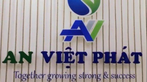 Năng lượng An Việt Phát sẽ rót 1.287 tỷ vào dự án chế biến lâm sản tại Khu kinh tế Vũng Áng