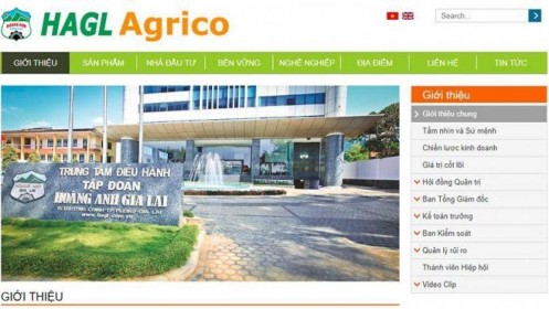 Sắp có một HAGL Agrico rất khác và chủ khác?