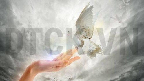 Nhận định thị trường phiên 14/8: Giữ trạng thái quan sát, duy trì tỷ trọng ở mức thấp