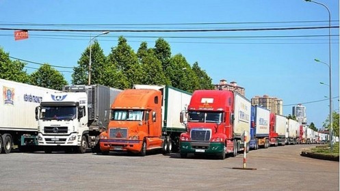 Sớm giải tỏa 500 container thanh long ùn ứ ở Lào Cai
