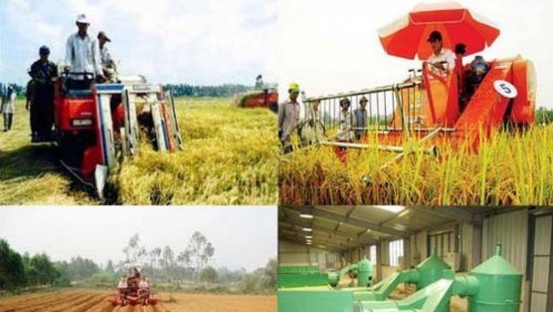 Quảng Nam dự kiến thu hút hơn 11.800 tỷ đồng đầu tư vào nông nghiệp