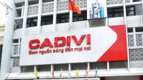 Cadivi tạm ứng cổ tức tiền mặt năm 2019 tỷ lệ 25%