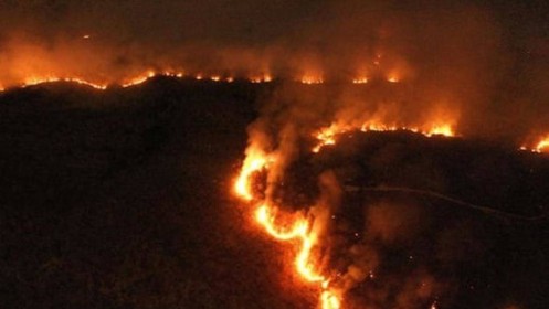 Brazil: Hơn 1.600 vụ cháy rừng mới xảy ra chỉ trong 2 ngày