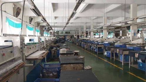 Ứng ngân sách chi trả cho hơn 2.000 công nhân da giày mất việc ở Công ty KaiYang