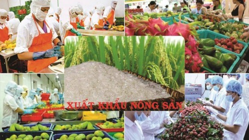EVFTA: Cú hích cho xuất khẩu nông sản Việt