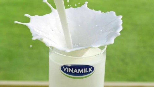 Vinamilk sắp sửa chi hơn 3,483 tỷ đồng tạm ứng cổ tức đợt 1/2019