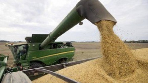 Cái giá Trung Quốc đưa ra thuyết phục Mỹ nới lỏng trừng phạt Huawei