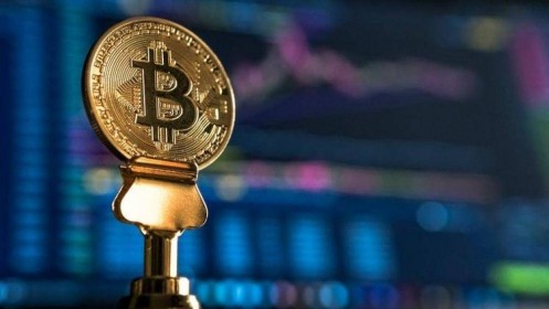Bitcoin về 8.000 USD hay lên 31.000 USD?